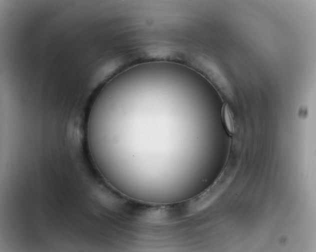 X0000103230116200808281440
