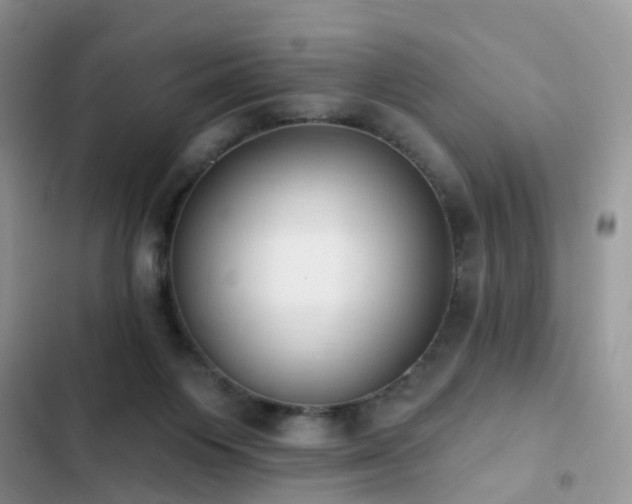 X0000103230119200808281440