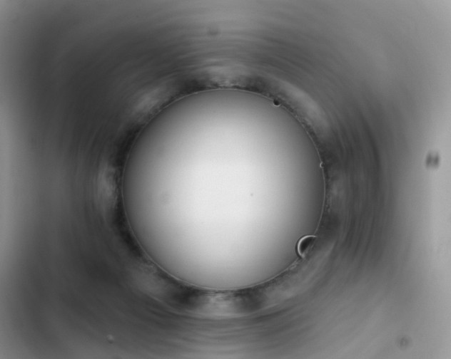 X0000103230121200808281439