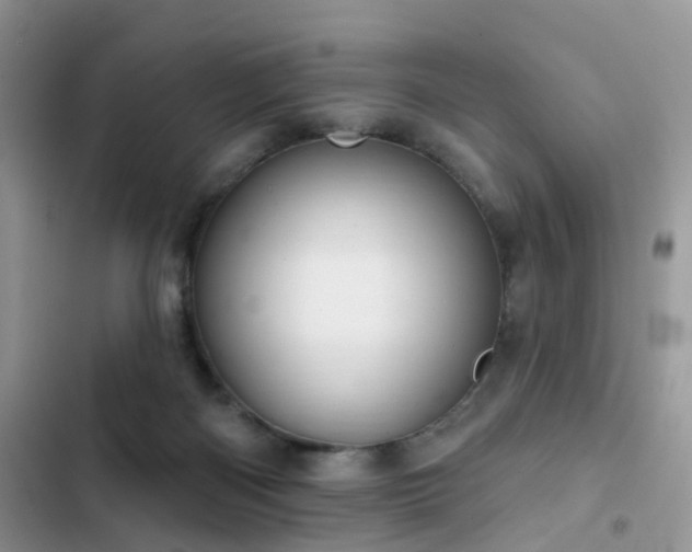 X0000103230122200808281439