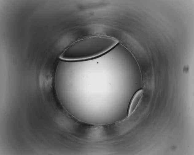 X0000103230124200808281439