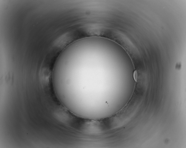 X0000103230125200808281439
