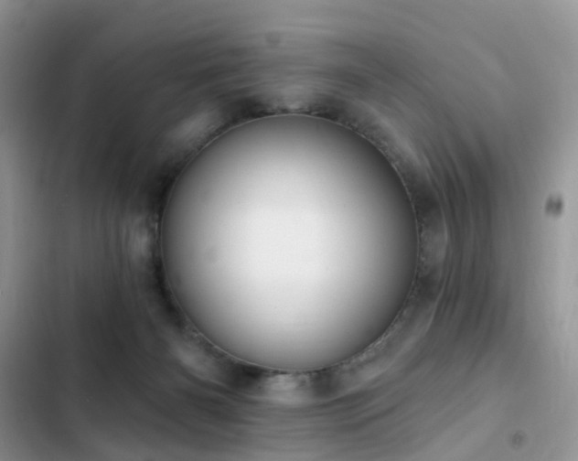 X0000103230126200808281439