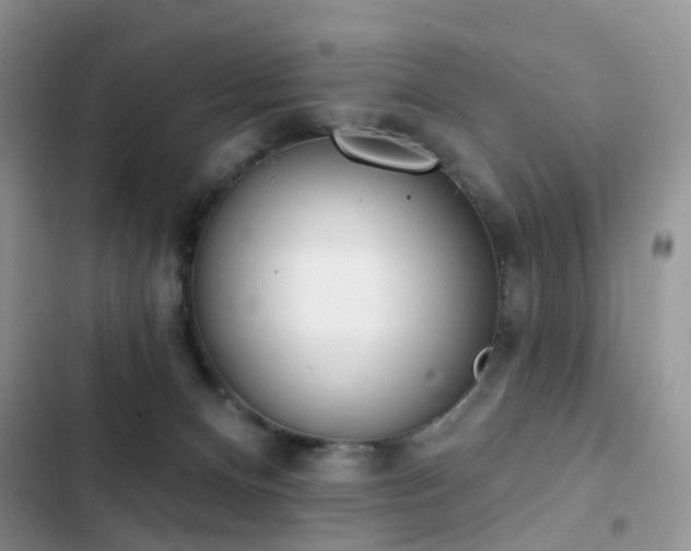 X0000103230128200808281439