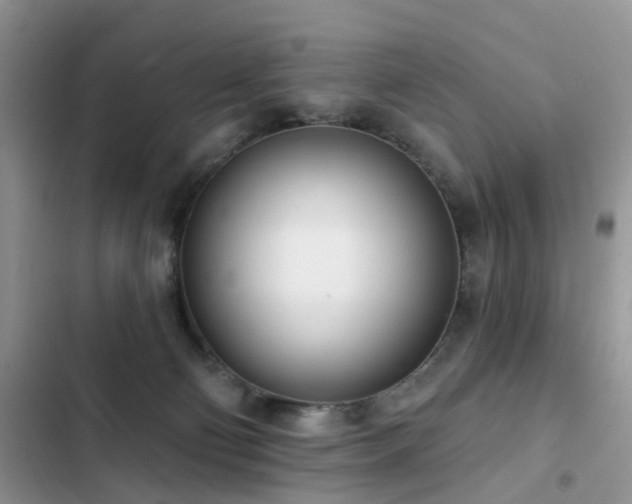 X0000103230130200808281439