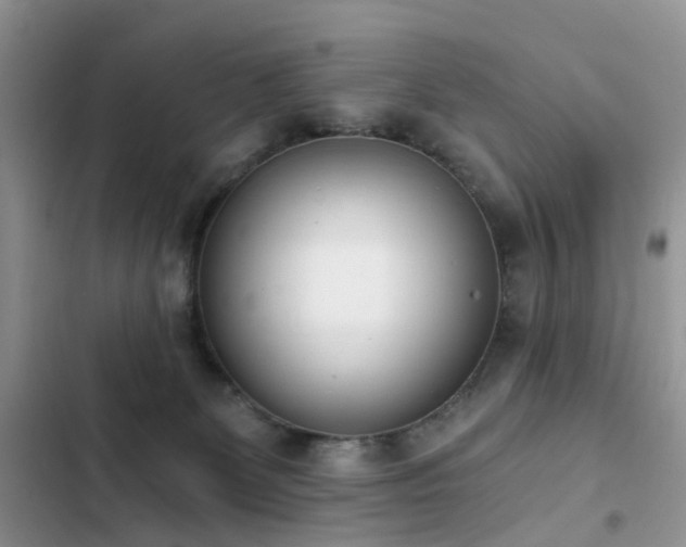 X0000103230131200808281439