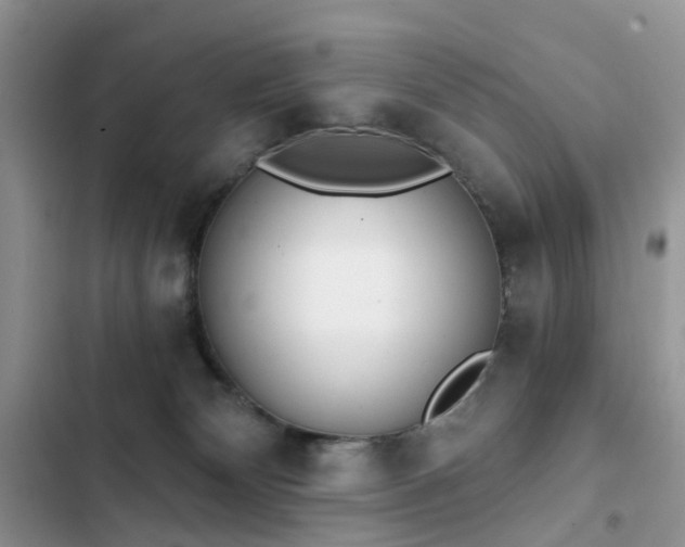 X0000103230132200808281439