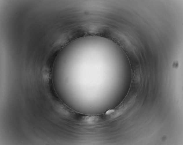 X0000103230135200808281439