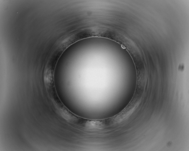 X0000103230137200808281439