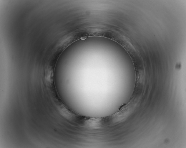 X0000103230138200808281439