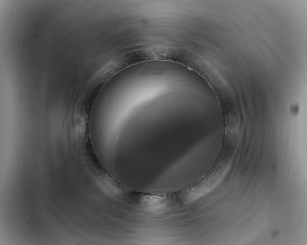 X0000103230139200808281439