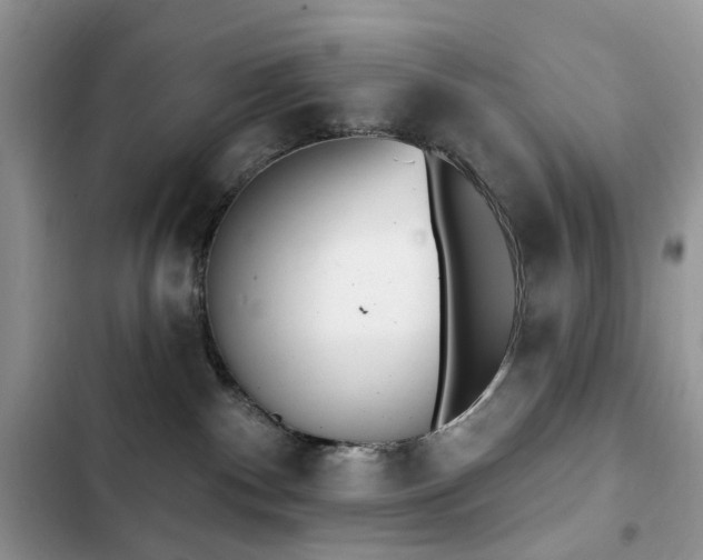 X0000103230140200808281439