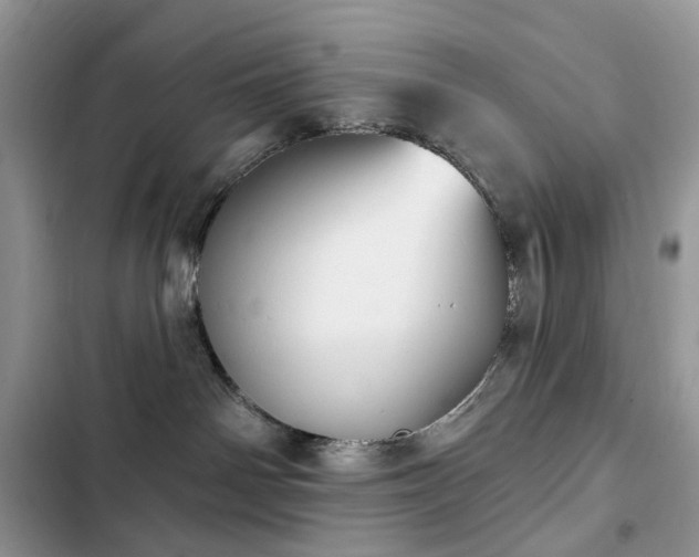 X0000103230142200808281439