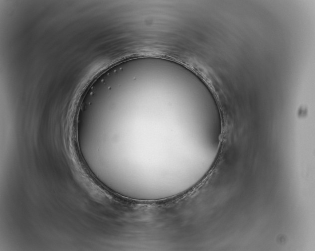 X0000103230145200808281438