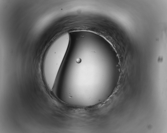 X0000103230146200808281438