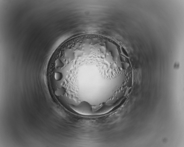 X0000103230147200808281438