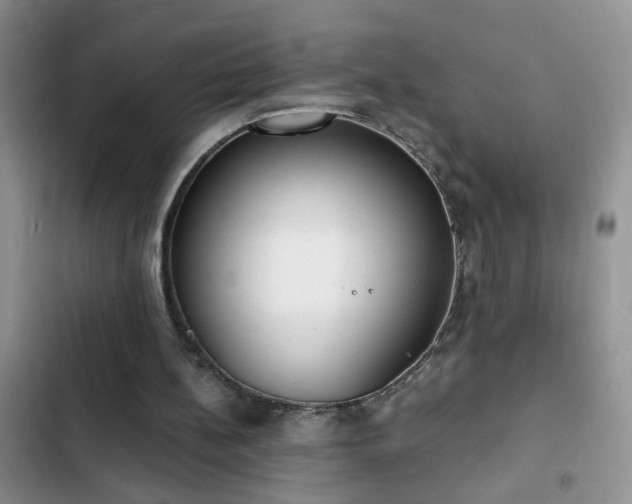 X0000103230148200808281438