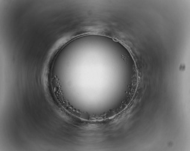 X0000103230149200808281438