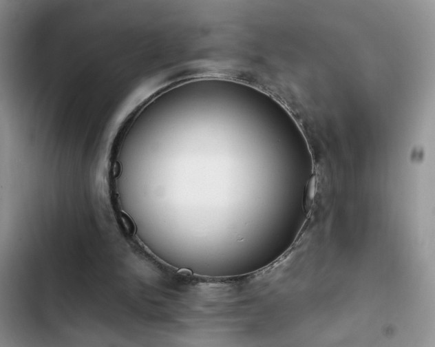 X0000103230150200808281438
