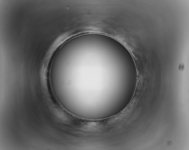X0000103230151200808281438