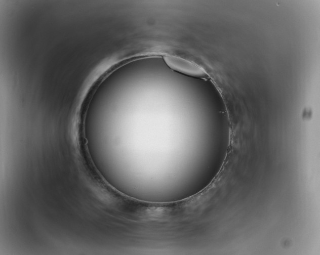 X0000103230152200808281438
