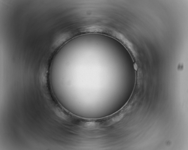 X0000103230153200808281438