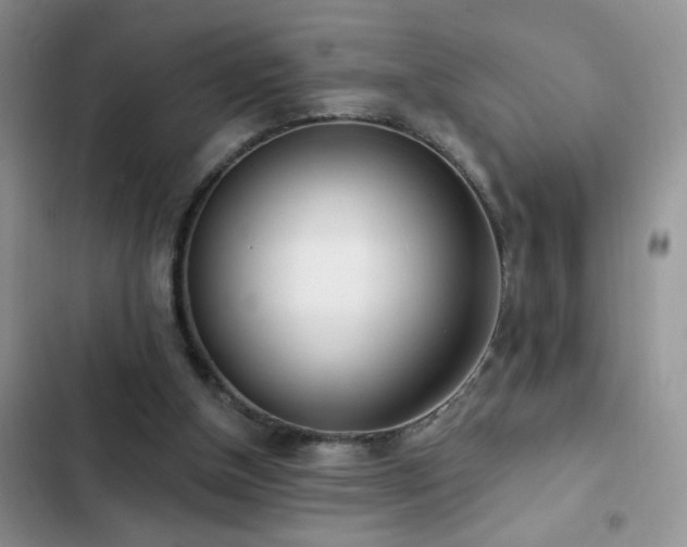 X0000103230154200808281438
