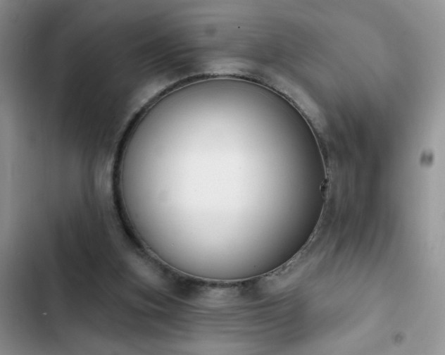X0000103230155200808281438