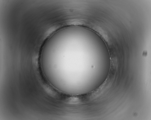 X0000103230159200808281439