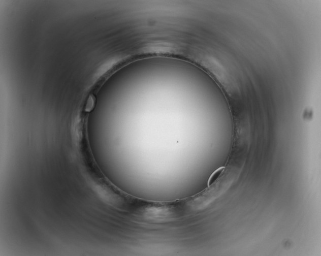 X0000103230160200808281439