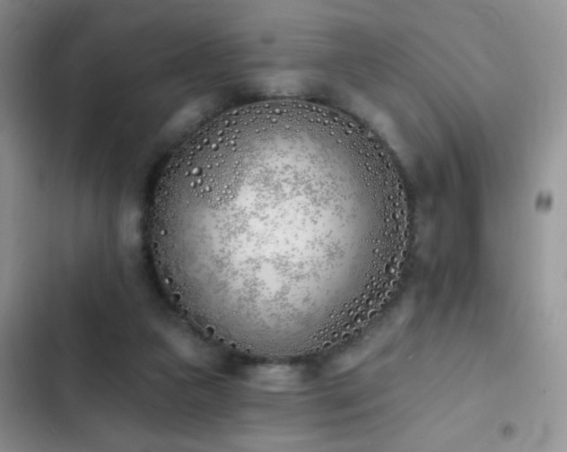 X0000103230161200808281439