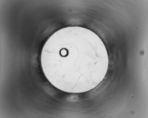 X0000103230162200808281439