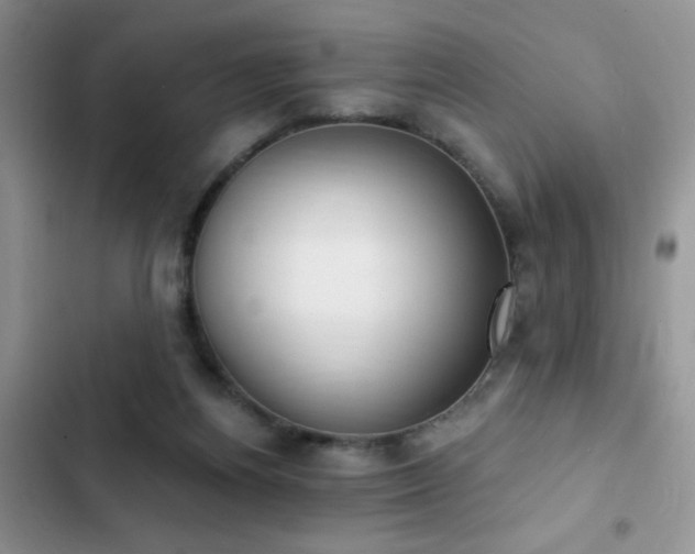 X0000103230164200808281439