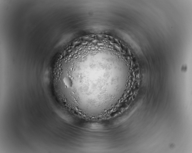 X0000103230165200808281439
