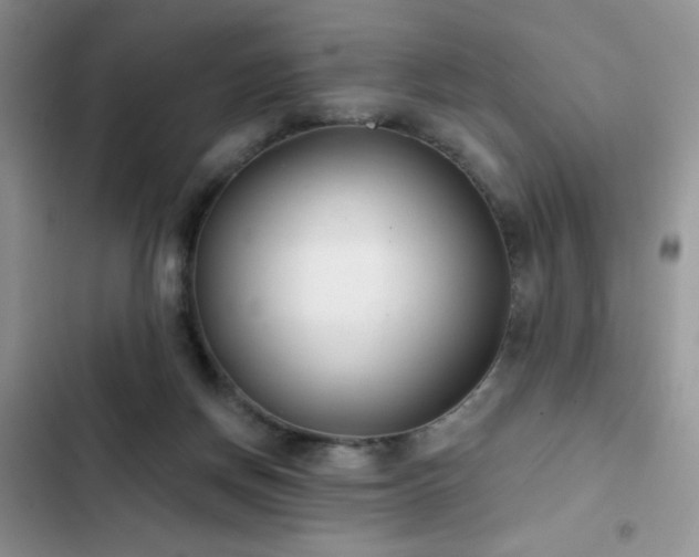 X0000103230166200808281439