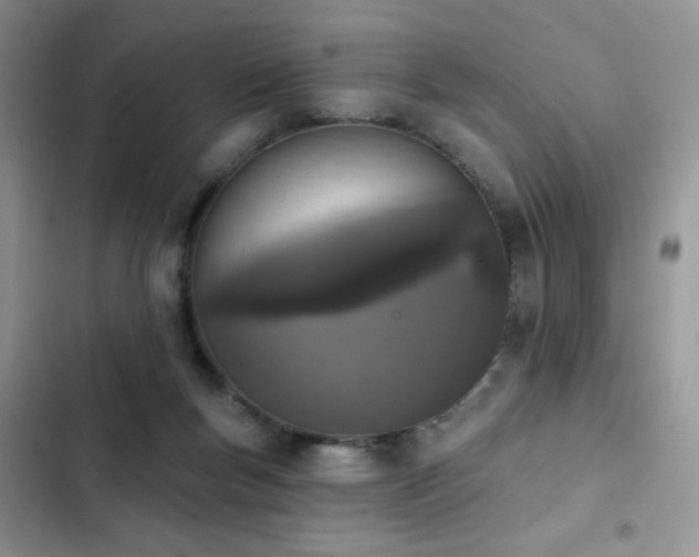 X0000103230167200808281439