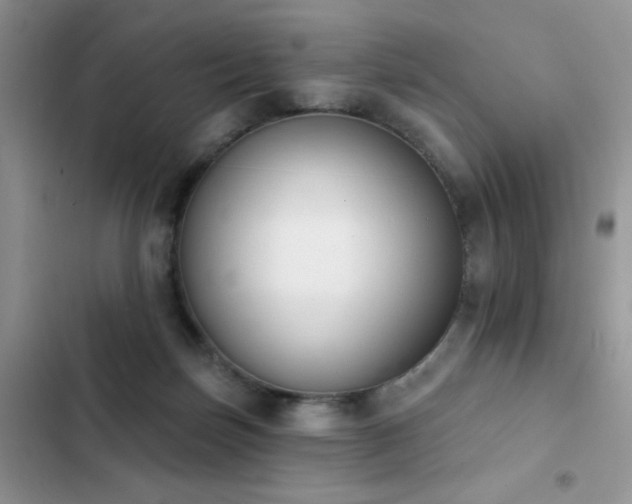X0000103230171200808281439