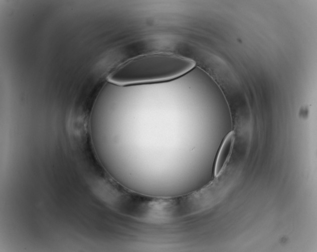 X0000103230172200808281439