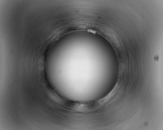 X0000103230174200808281439