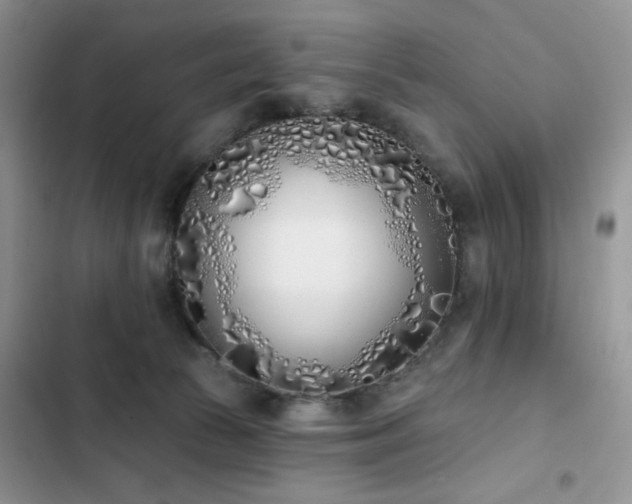 X0000103230177200808281439