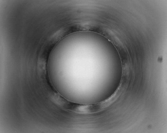 X0000103230178200808281439