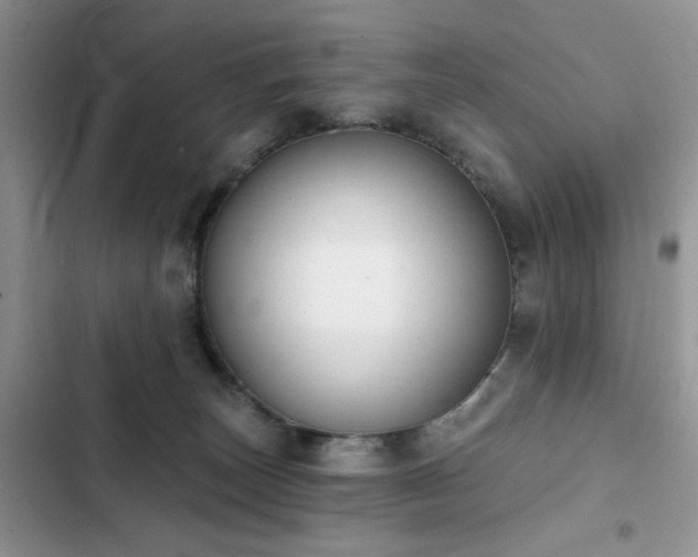 X0000103230179200808281439