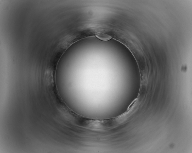X0000103230182200808281439
