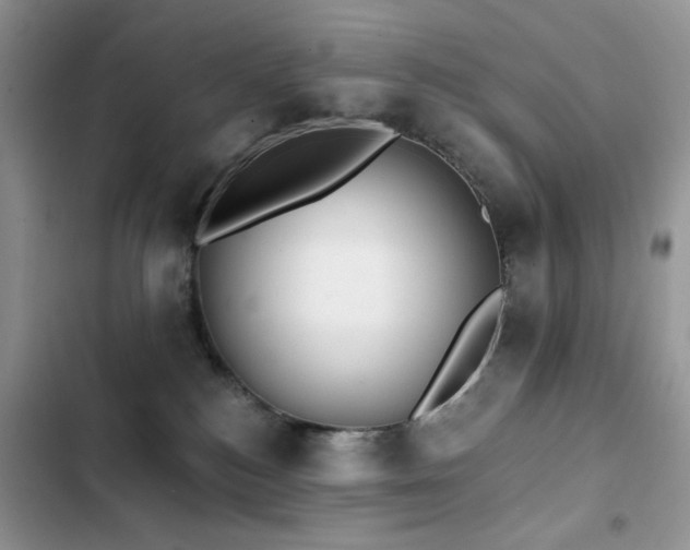 X0000103230184200808281439
