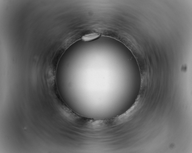 X0000103230186200808281439