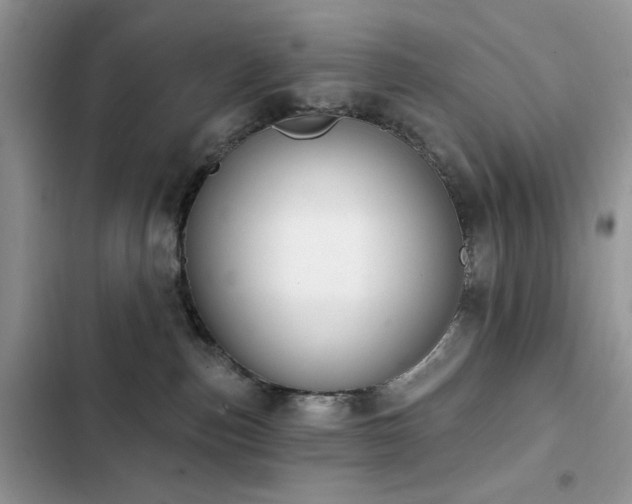 X0000103230187200808281439