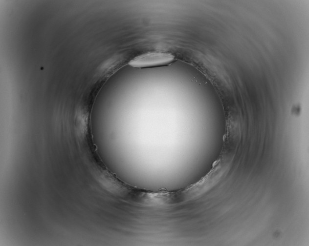 X0000103230188200808281439