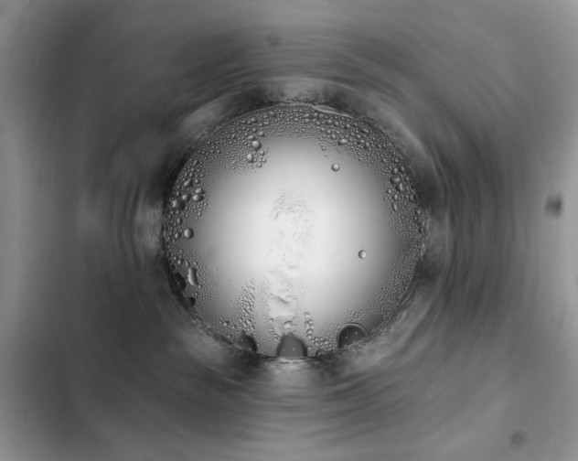 X0000103230189200808281439