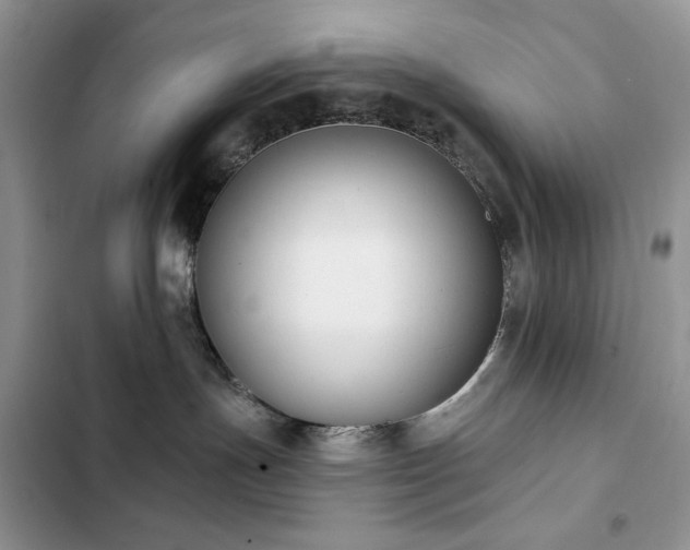 X0000103230191200808281439