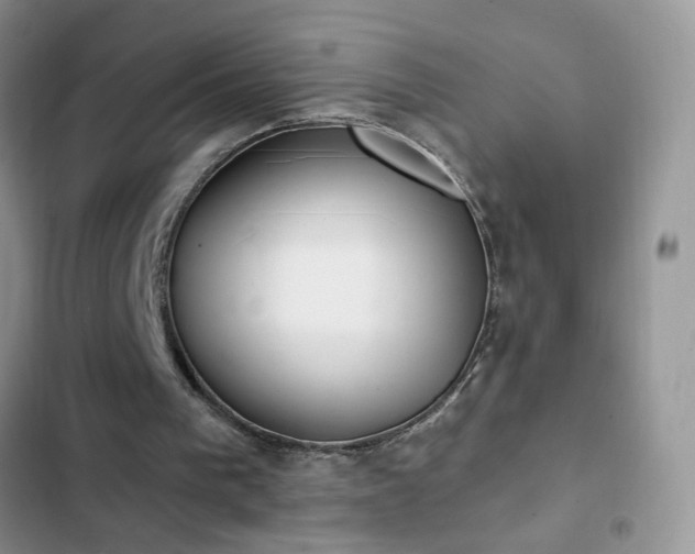 X0000103230193200808281438